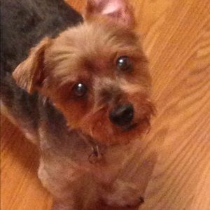 Meet your Posher, Annette